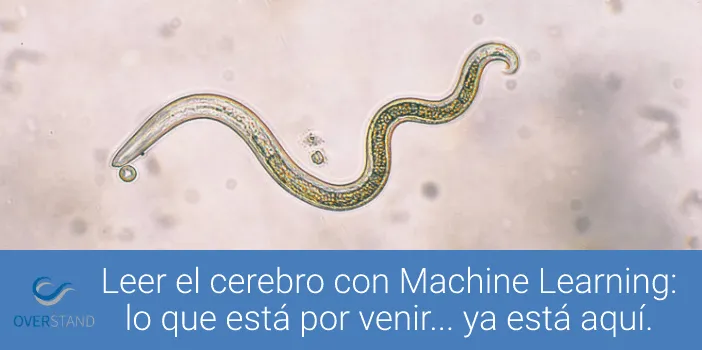 Leer e interpretar pensamientos en el cerebro con Machine Learning